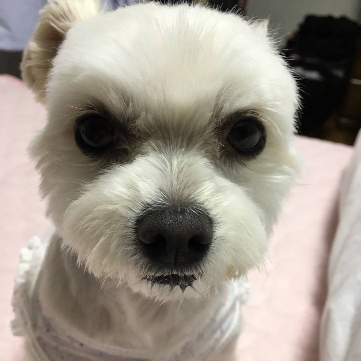 C2cbe155 6f36 4bbd a185 069c4ec34e44 1524828582217