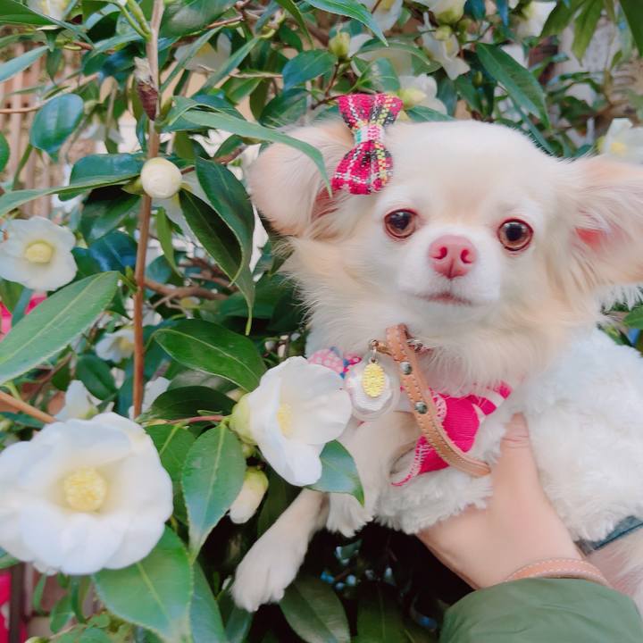 C2cbe496 9c5d 492a a585 eb7f845329f2 1702899033791