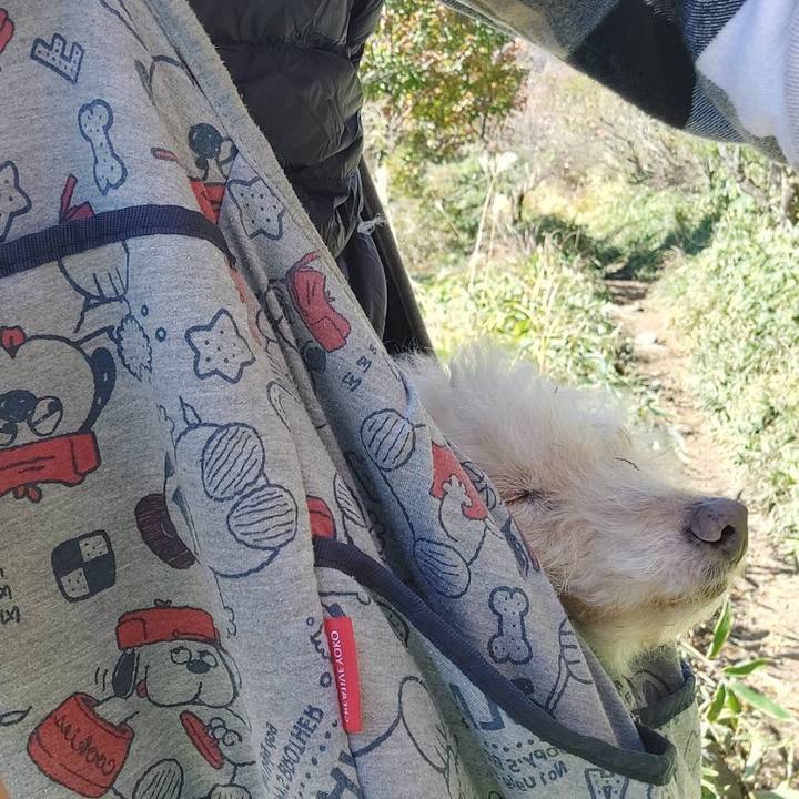 C2cbf700 e9e5 41f6 9067 e411dc04e7d2 1699671791559