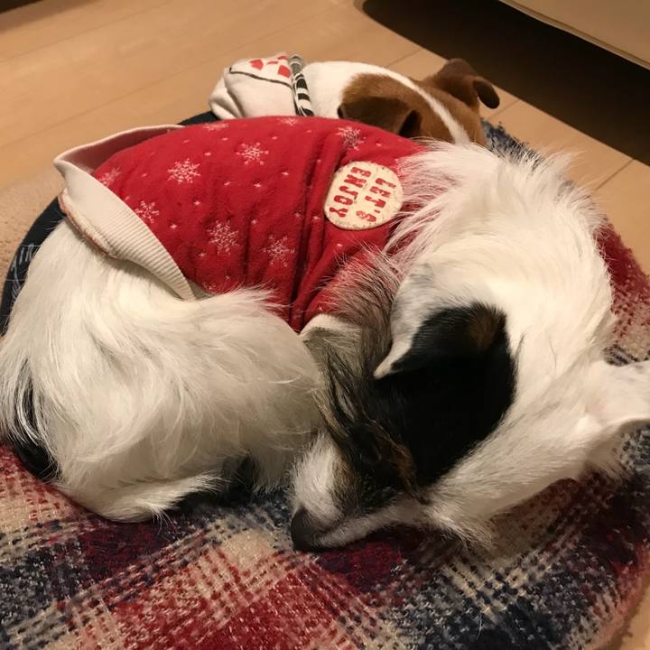 C2cc1ff2 a403 4cde b3a5 7c434521161e 1516109102087