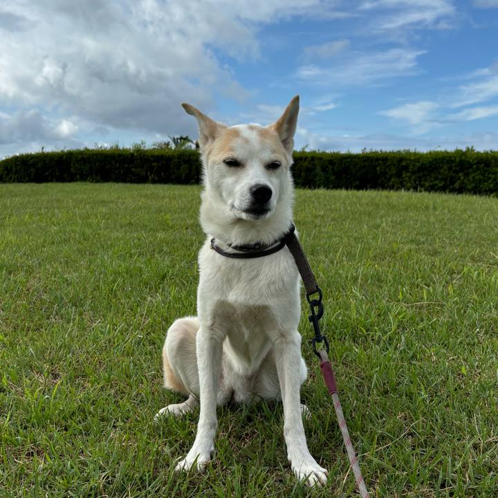 C2cc3383 73c7 4775 94d5 8a1bd1eff953 1727070276819