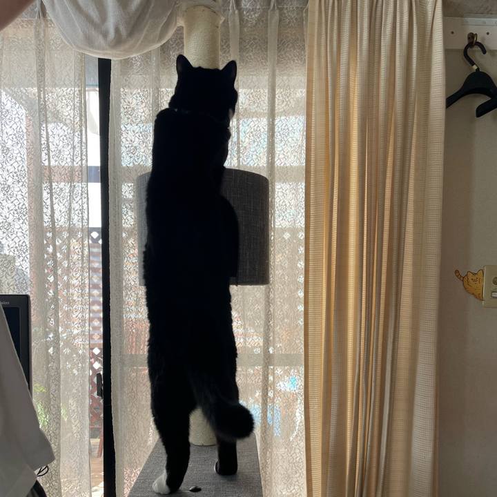 C2cc4a26 1e7d 43c7 9b50 41d127b638ef 1723332518338