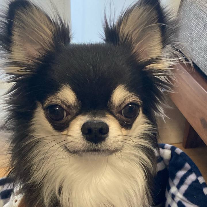 C2ccb501 7c12 4914 be0c 077cf2a7903f 1612047732140