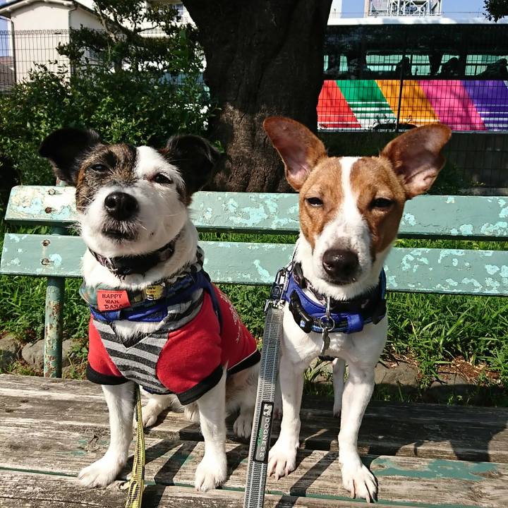 C2ccecbf 8bb2 4182 8c4e 28850ff92bb1 1524183341090