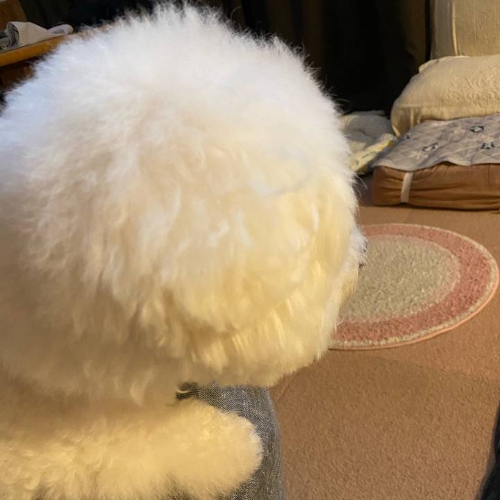 C2ccf7be ec57 403b ad05 057c93c49ae8 1658205169403