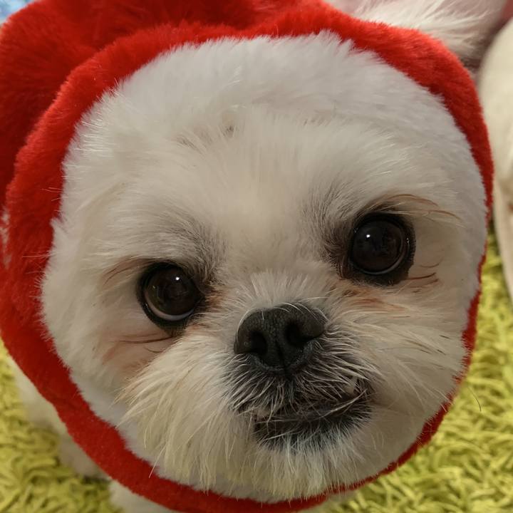 C2cd0fa9 36a2 43f9 a341 54c35acac90e 1671851878246