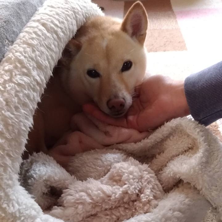 C2cd2199 2d57 419a aff6 e7a326b4b34c 1606691790560