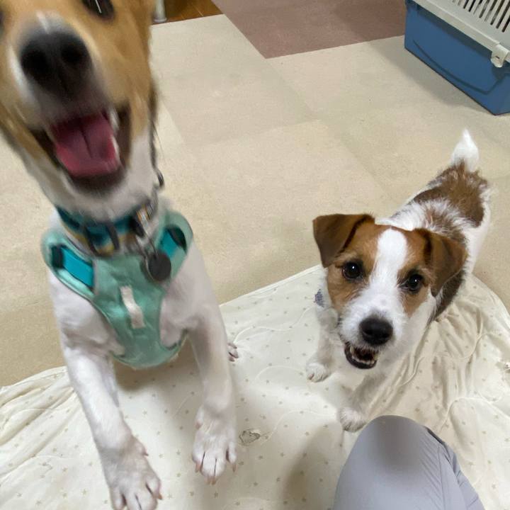 C2cd9b11 c3a6 4088 86dc 73bbbdf5b522 1755177699647