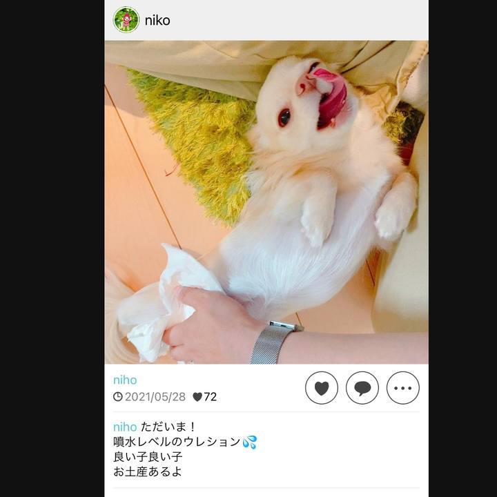 C2cde0a6 a93c 4a5f 9619 96bc6ebb0500 1717469461398