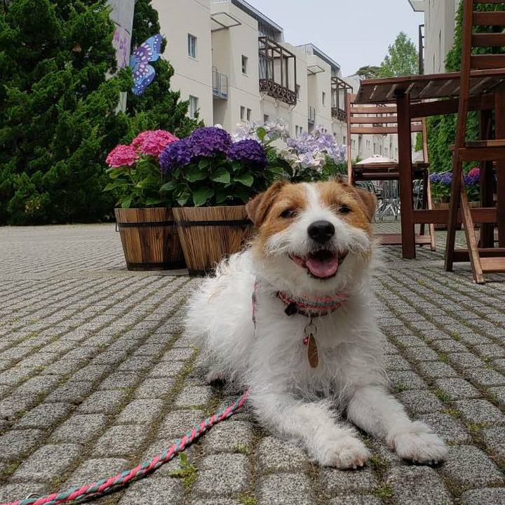 C2ce444f 8fca 46a1 89f6 8e042a3c93ec 1591409888351