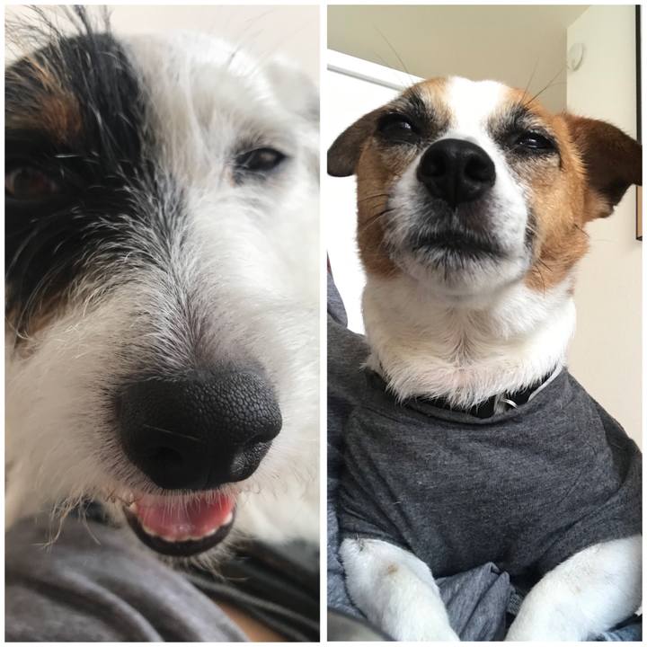 C2ce82af 9a48 424e a3ed d2dba13521e7 1532329301593