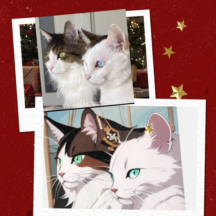 C2ce91b5 427c 42cc adc5 c55ac46464aa 1734848020453