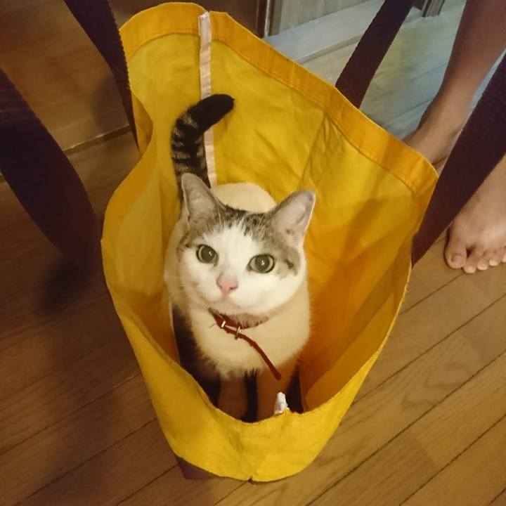 C2cee5ad 3482 4a56 b9a3 580eb205905b 1536879391412