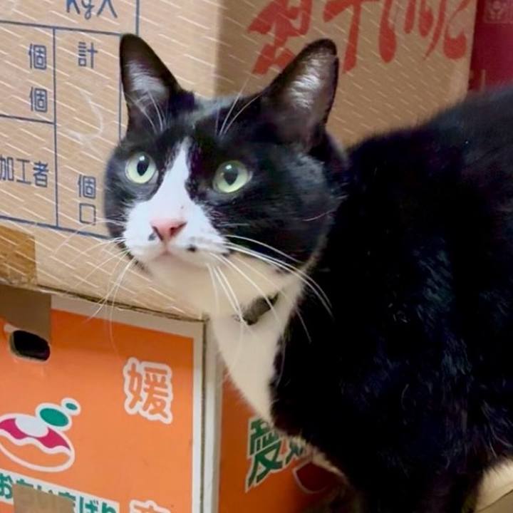 C2cf490e 7126 4581 94a8 be0e587c9c7d 1763519430462