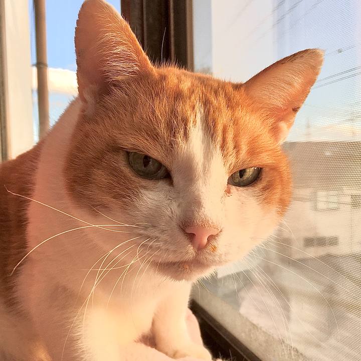 C2cf62c2 eedb 4787 9671 4c2dc9b4518f 1575859631370