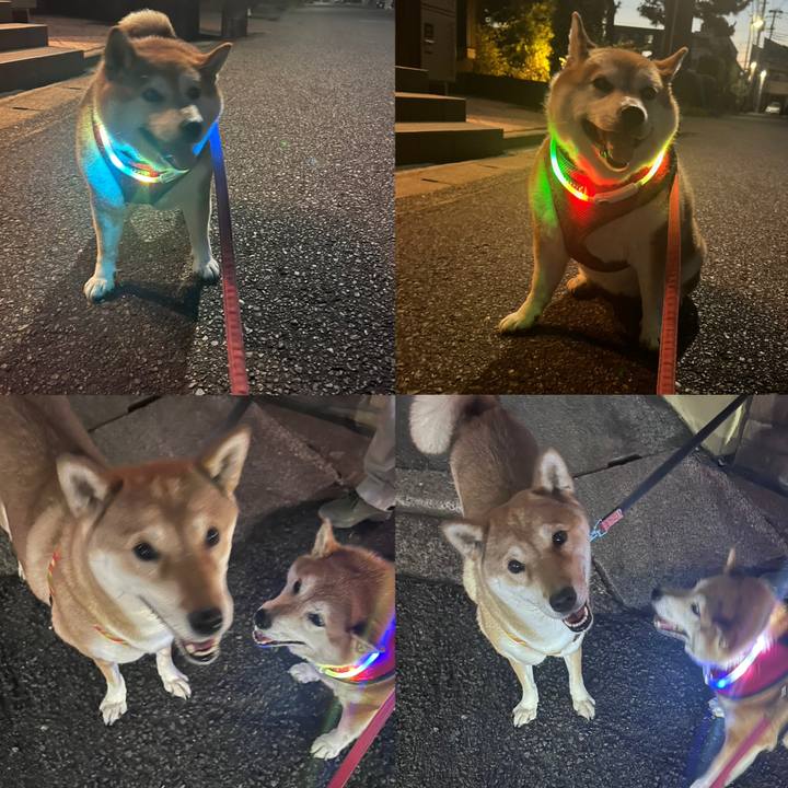 C2cf7058 cb6e 4039 9dde c0c9a89e5d2e 1690283101904