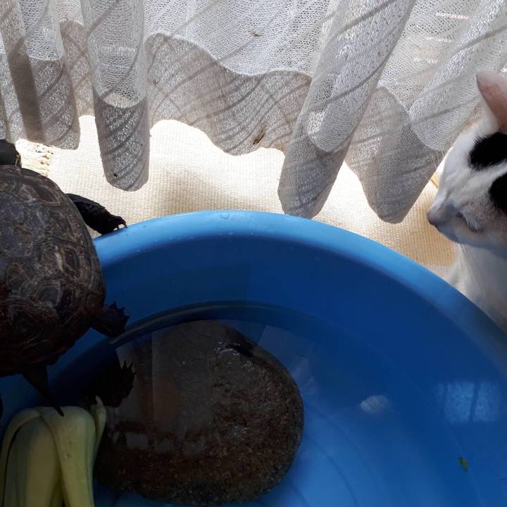 C2cf840a 5da4 4037 a1da bd1438d0be10 1564654550883