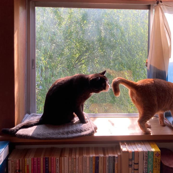 C2cfd545 ec76 4fa5 9bb0 9b8c9c90d88d 1617839741832