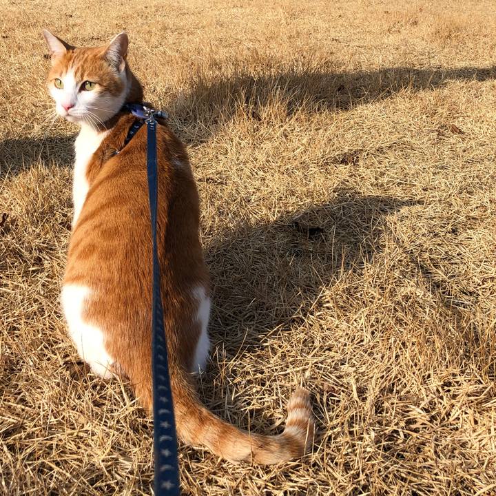 C2cffba6 1e19 4031 94d6 7cf57939d7d2 1546769725882