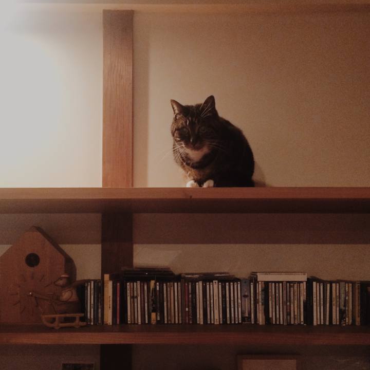 C2d038c3 5365 49ed 990a d7ee7afa5ec8 1517130195656