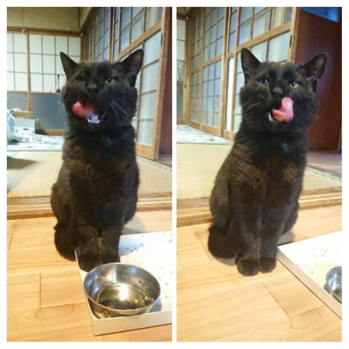 C2d056df f34a 4406 8473 654a1838648d 1620986394891