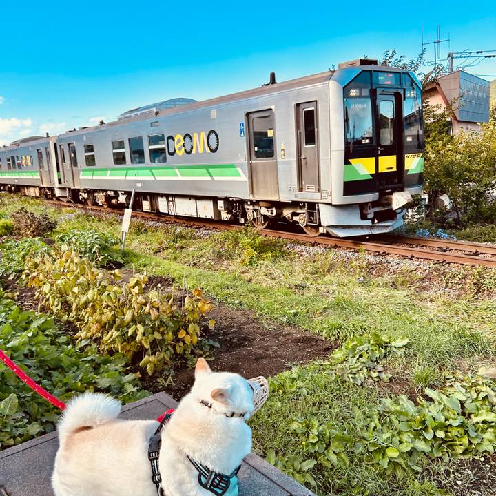 C2d0c2db 0b1c 4521 bd43 f7e455e3b9f8 1696372085430