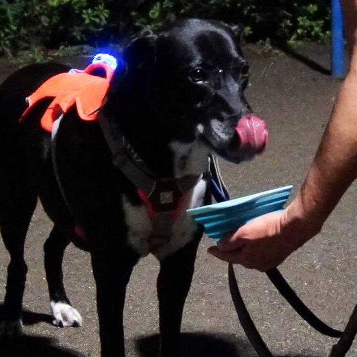 C2d0e75b 2f69 4763 9af9 25df8a9e50f9 1726744239413