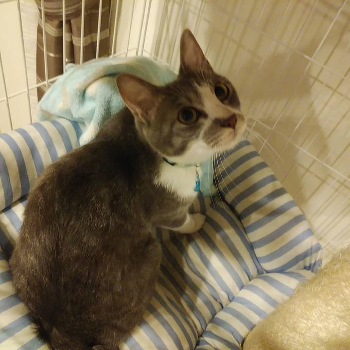 C2d10f4f 075a 4866 9418 4c819cdbfce2 1591370878126