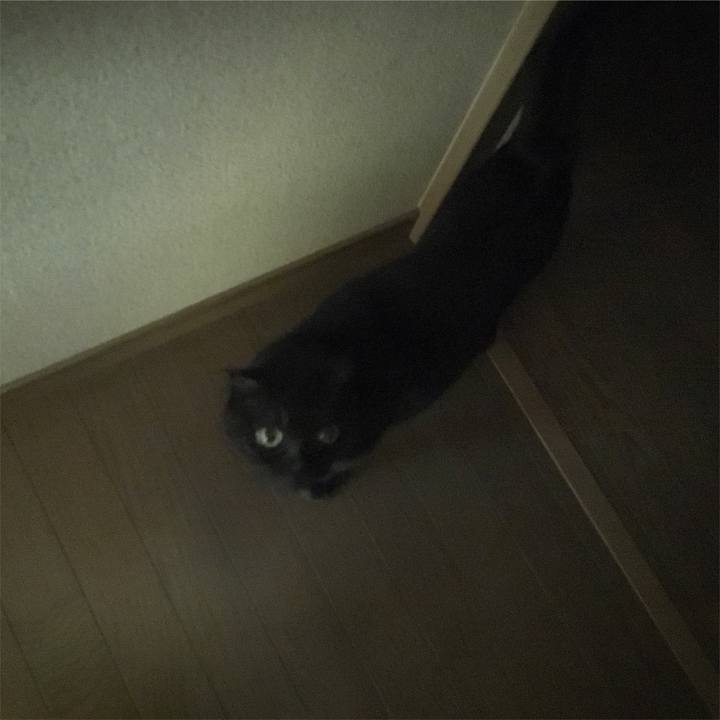 C2d11293 8af9 4f19 a7d2 667560cfd3fe 1532476295550