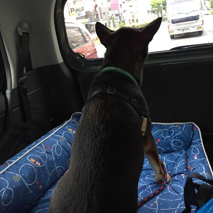 C2d11836 d335 4b11 b908 62a28b08a4d2 1534198672422