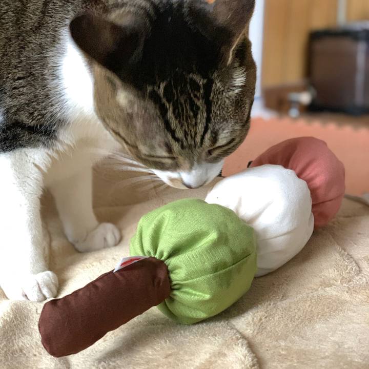 C2d12c4b 64ab 46ef 821c ff709a41c654 1582420726983