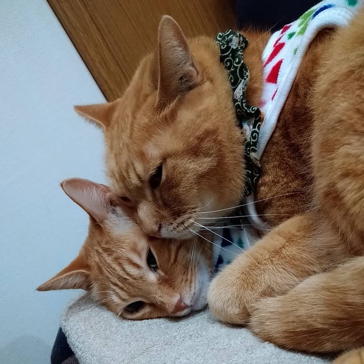 C2d172d2 5b17 4c83 9f1c f39c02059cec 1579357865292