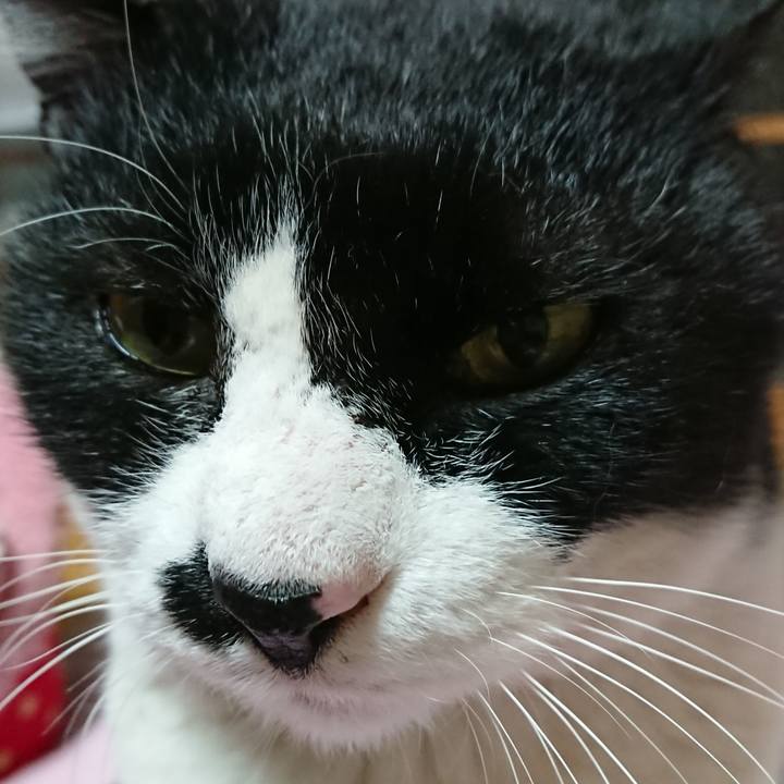 C2d19ced 8098 4734 a6ea 6b95d3cbbe43 1551534225089