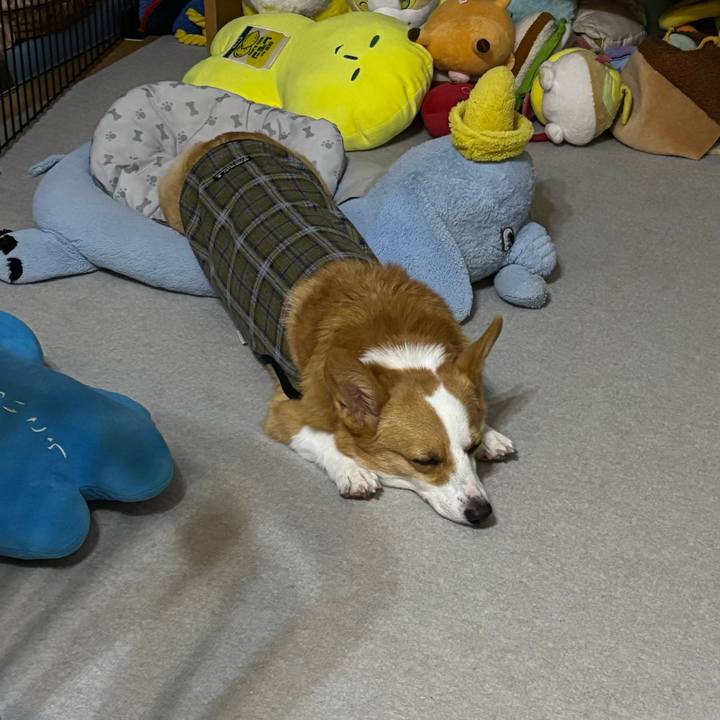 C2d1d101 3482 4a60 a76f 5d2d1e5ab6ad 1760366490364