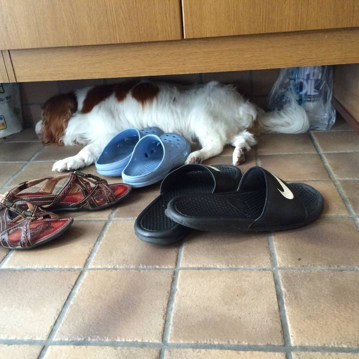 C2d1f5c0 7608 4214 8eff 31d72e8500af 1546775974774