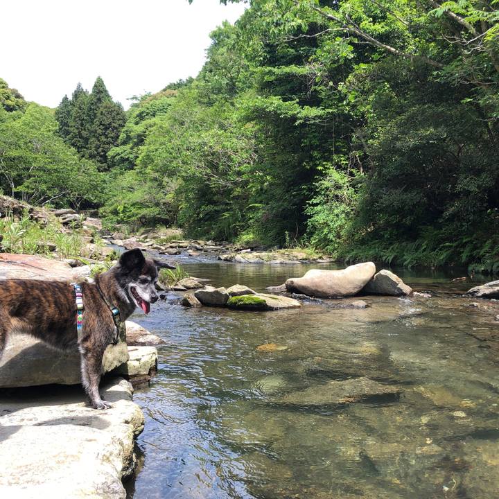 C2d1f97d 1476 42f5 bc2f cf90bbe2d606 1685166673306