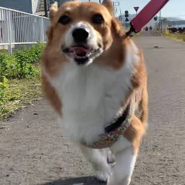 C2d2039b 10f5 4ea9 b5f2 6d67326c8f66 1669450844260