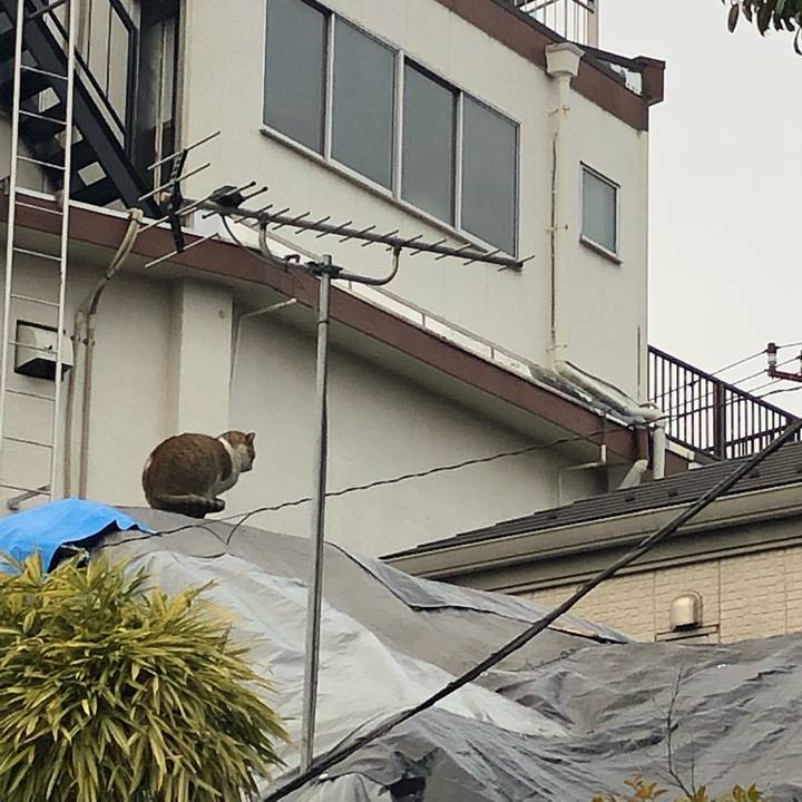 C2d250ba d4e3 492e aad9 99211daf8a94 1550221598467