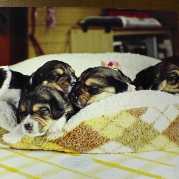 C2d28ae3 5e46 480f a3a1 a0ec180ee93e 1631764291420