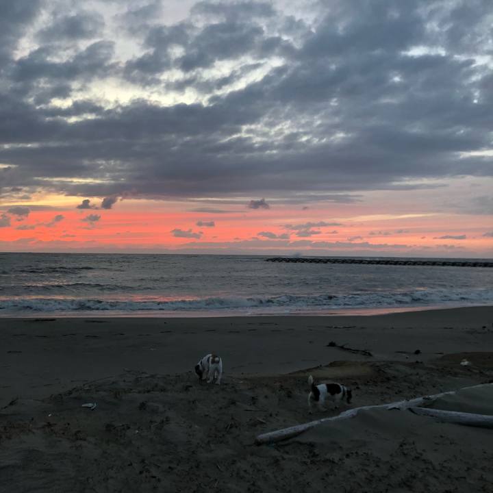 C2d298f3 abdb 435c ad12 9619b0c813f9 1538471850424