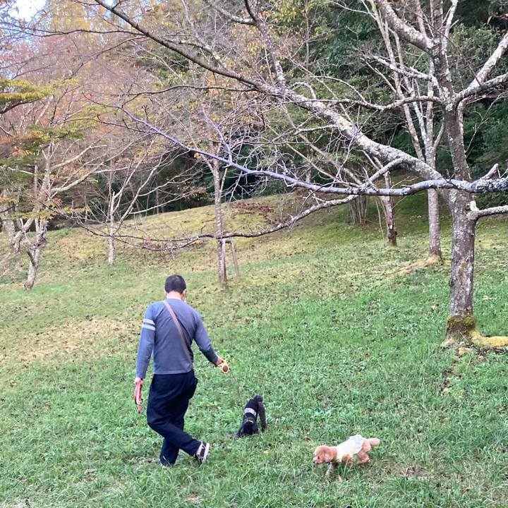 C2d2d710 a6d3 4ef2 a035 ca811489470c 1634998079189