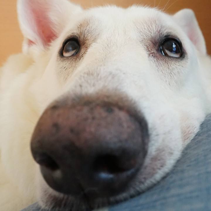 C2d2e1b1 232e 45da a724 78d18bda27ab 1736987855817