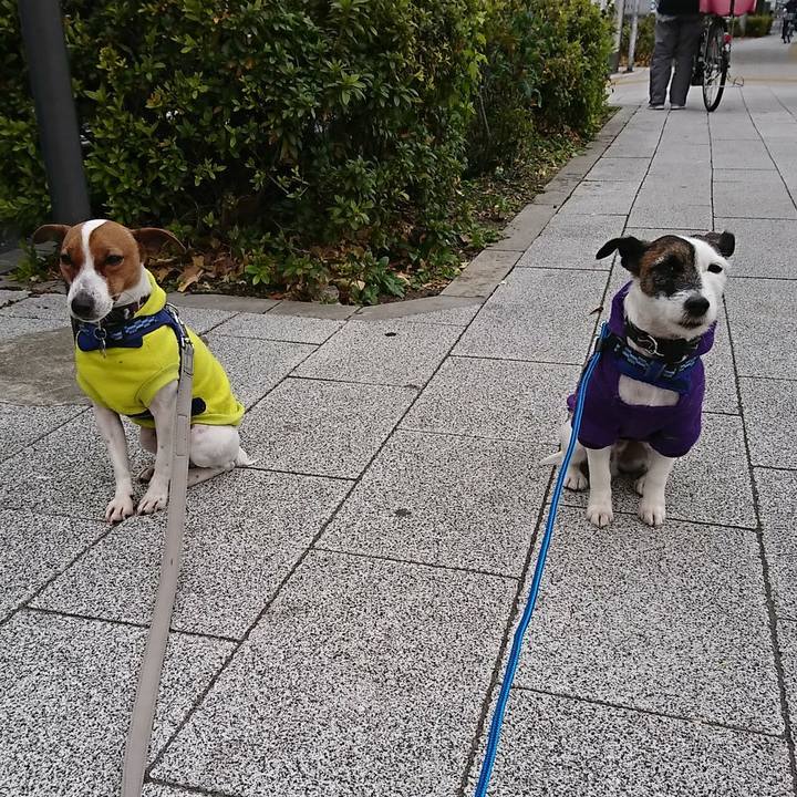 C2d31668 b142 4037 8986 dca30e8f0daa 1547252718137