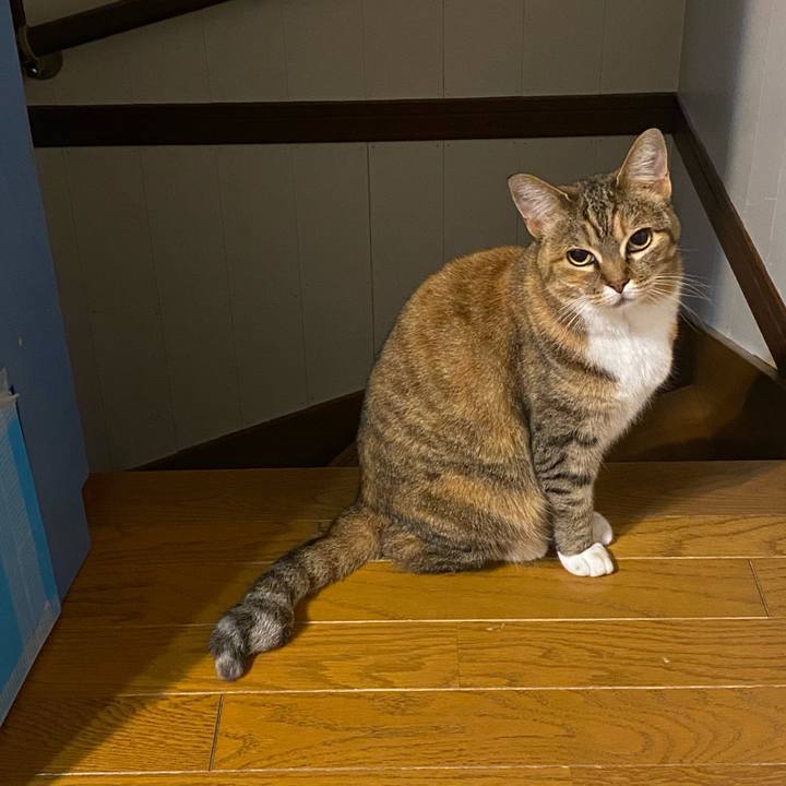 C2d3314a dc3d 4f2a b46a cf689c544455 1621610557359