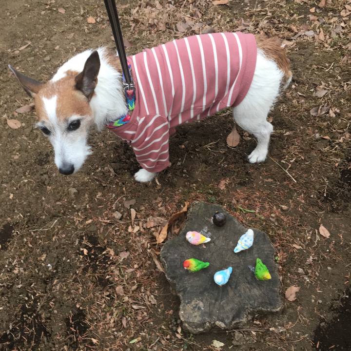 C2d34d26 f785 412e 958e 1129e32bfda5 1644276756192