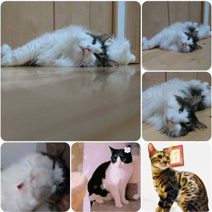 C2d35dc4 0fd6 4cc0 bfff b318a2bd1be9 1567603020438