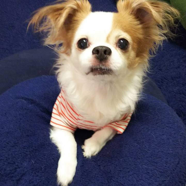 C2d3a569 a67c 45c7 bc5c 1896bc91c471 1521639077627