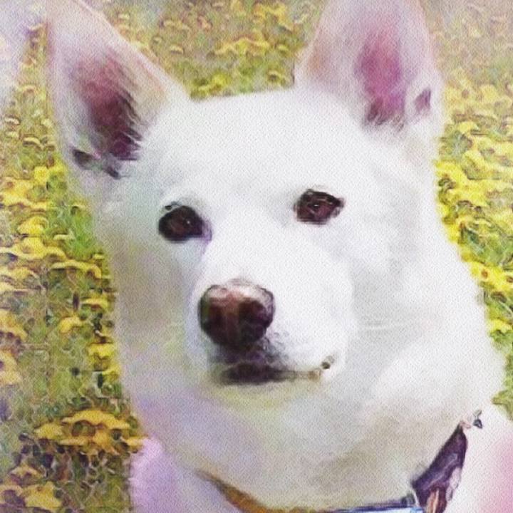 C2d40499 f725 44a8 8502 c498971e5f59 1539695805317