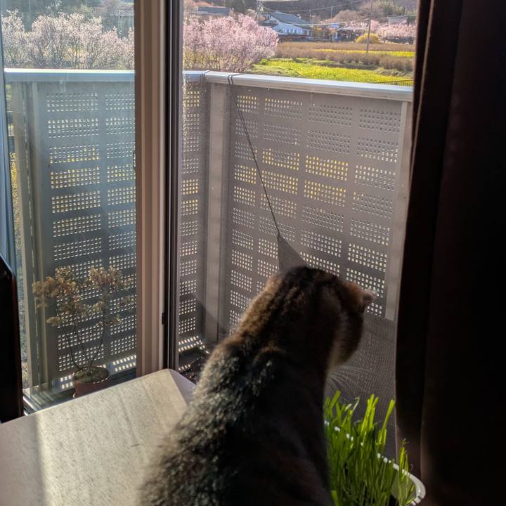 C2d40fda c76a 4212 ad34 81353c02942b 1743818873529