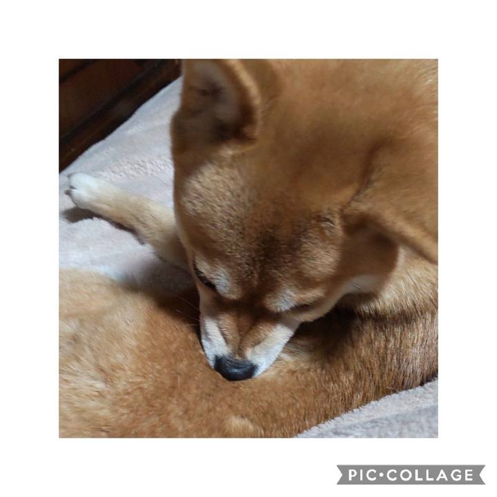 C2d41cb1 b5d2 4a5e 92d5 7134d3c5a26c 1671616906331